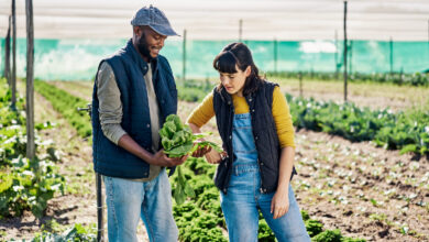 Common Gardening Mistakes