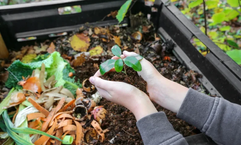 Composting for Beginners