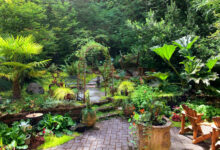Friendly Garden Oasis