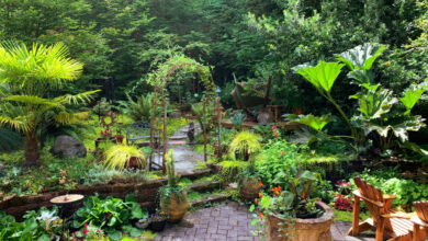 Friendly Garden Oasis