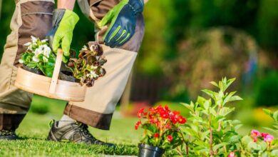 Garden Care