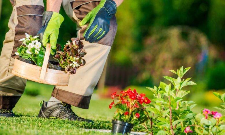 Garden Care