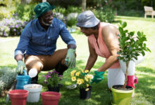 Health Benefits of Gardening