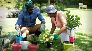 Health Benefits of Gardening