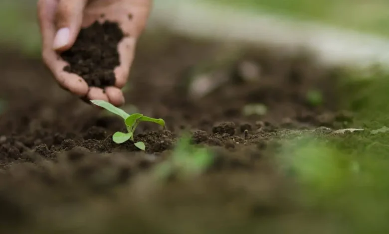 Improve Garden Soil Naturally
