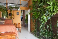 Indoor Jungle
