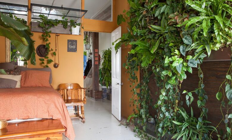 Indoor Jungle
