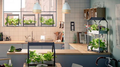 Kitchen Garden Indoors