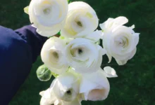 Seasonal Flower Guide