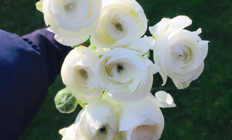 Seasonal Flower Guide