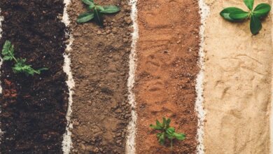 Soil Types