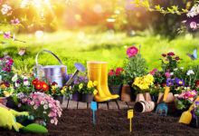 Spring Gardening