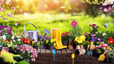 Spring Gardening