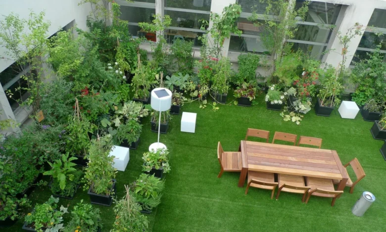 Start a Rooftop Garden
