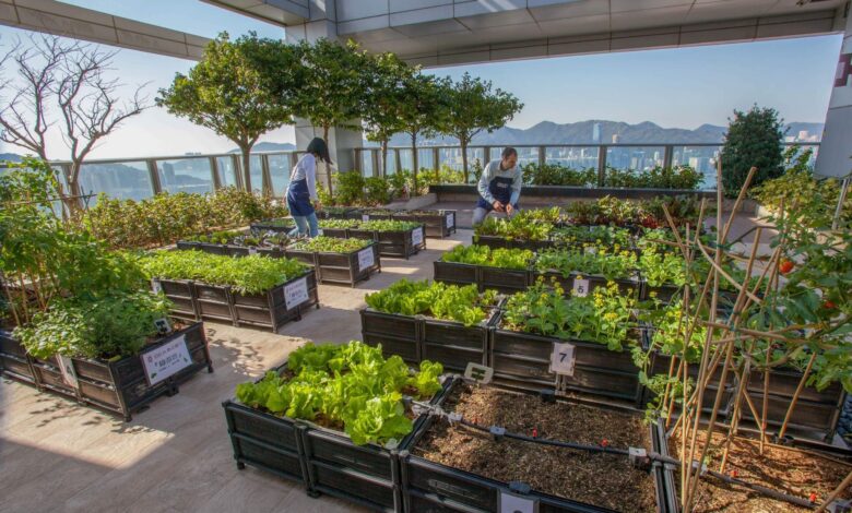 Urban Farming