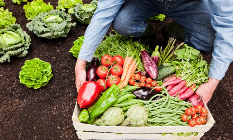 Vegetables to Grow