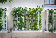 Vertical Gardening Grow