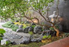 Zen Garden Ideas