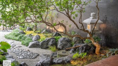 Zen Garden Ideas