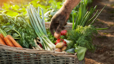 Fast-Growing Vegetables