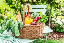 Plant Spring Vegetables