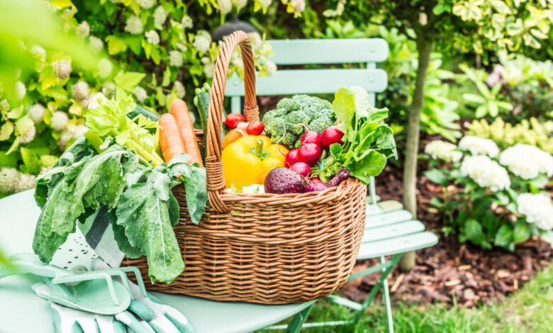 Plant Spring Vegetables