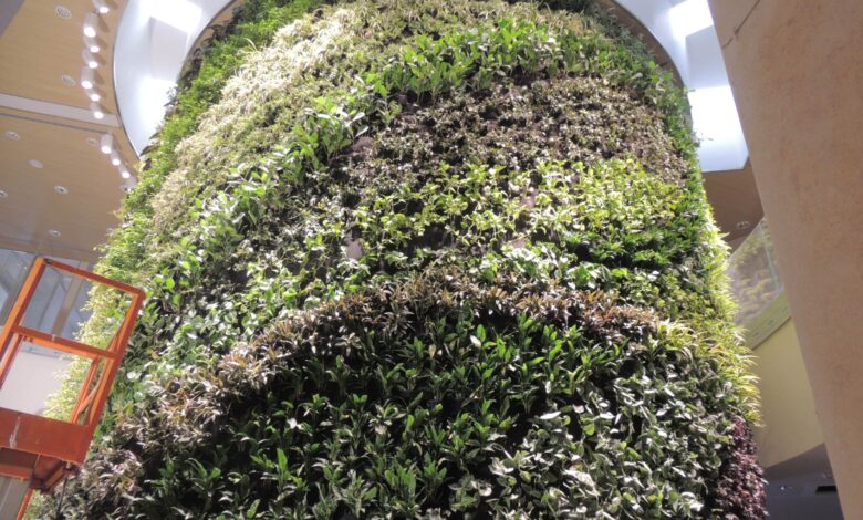 Vertical Garden