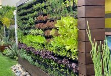 Vertical Gardening