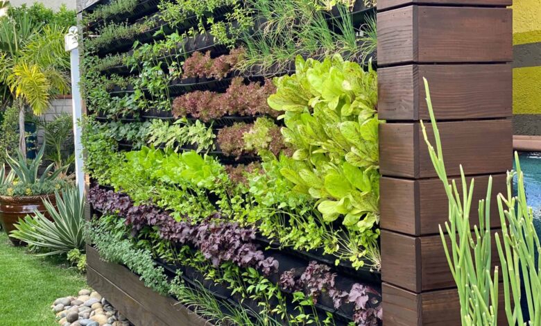 Vertical Gardening