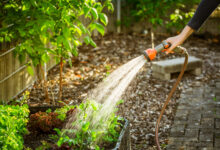Watering Planters
