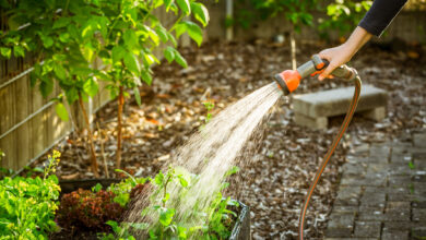 Watering Planters