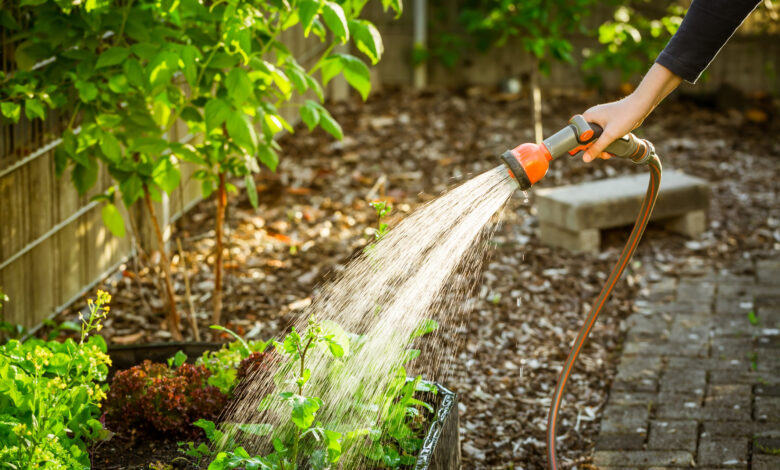 Watering Planters